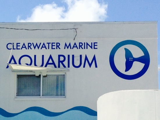 Clearwater aquarium coupons 2019